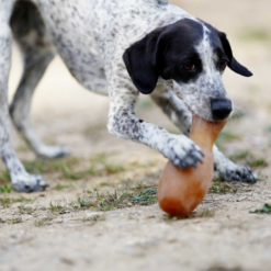 Retorn - Slidstærkt tygge legetøj til hund 100 % Øko harpiks, Rub Flipper EU - Billede 3