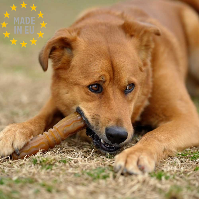 Retorn - Slidstærkt tygge legetøj til hund 100 % Øko harpiks, Rub Flosser EU