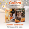 Calibra Julekalender til Hund & Kat Lav fedt EU