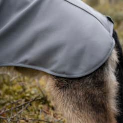FINNERO Sport Softshell Jacket Hundejakke Grå - Billede 3