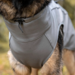 FINNERO Sport Softshell Jacket Hundejakke Grå - Billede 4