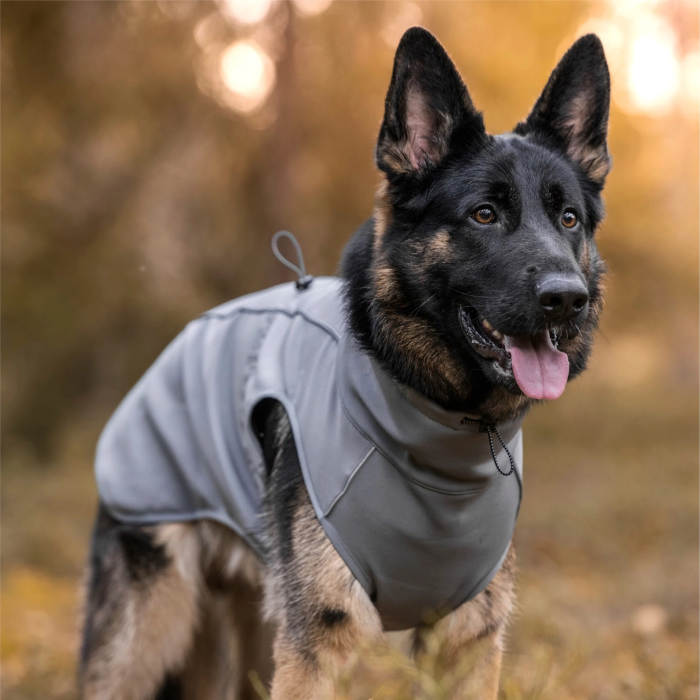 FINNERO Sport Softshell Jacket Hundejakke Grå - Billede 5