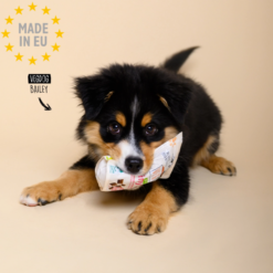 VegDog Brainy Bites Vegansk Allergivenlig Godbid Hvalp, 80g, EU