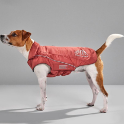 Wolters Dogz-Wear Ski Jacket Hundejakke Sort - Billede 2